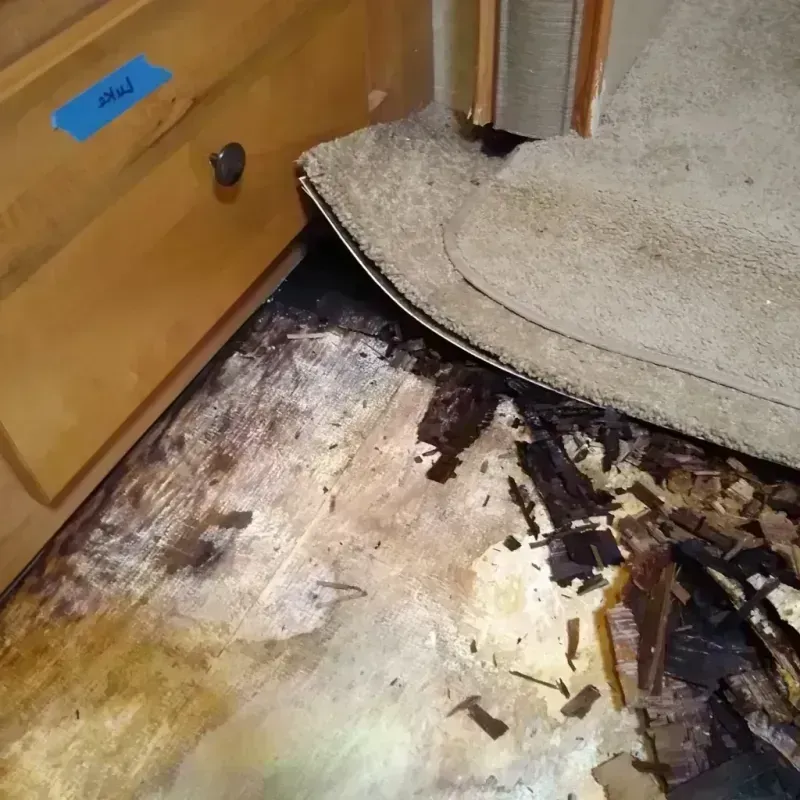 Best Wood Floor Water Damage Service in Somerton, AZ